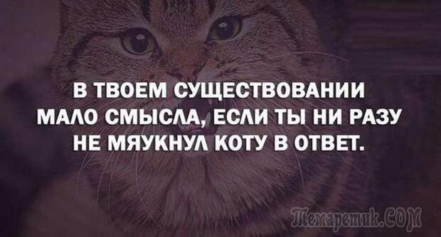 Смешные открытки с философские уклоном