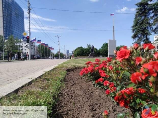 Опрос показал, верят ли жители Донбасса в скорую интеграцию с Россией