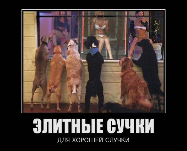 Dемки