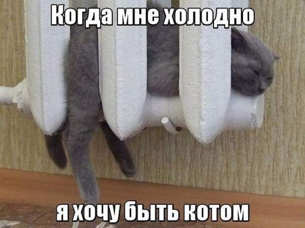 Картинки со смешными подписями