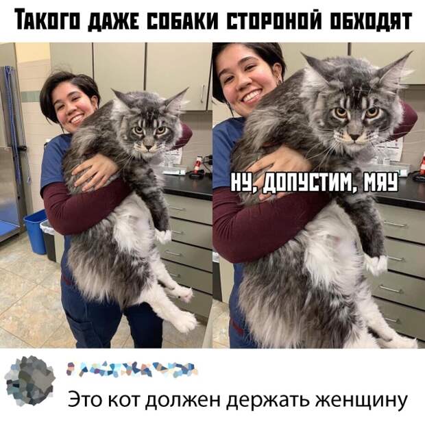www.vsyako.net