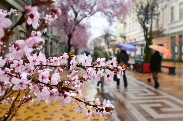 Погода 3 апреля: тепло, но дождливо