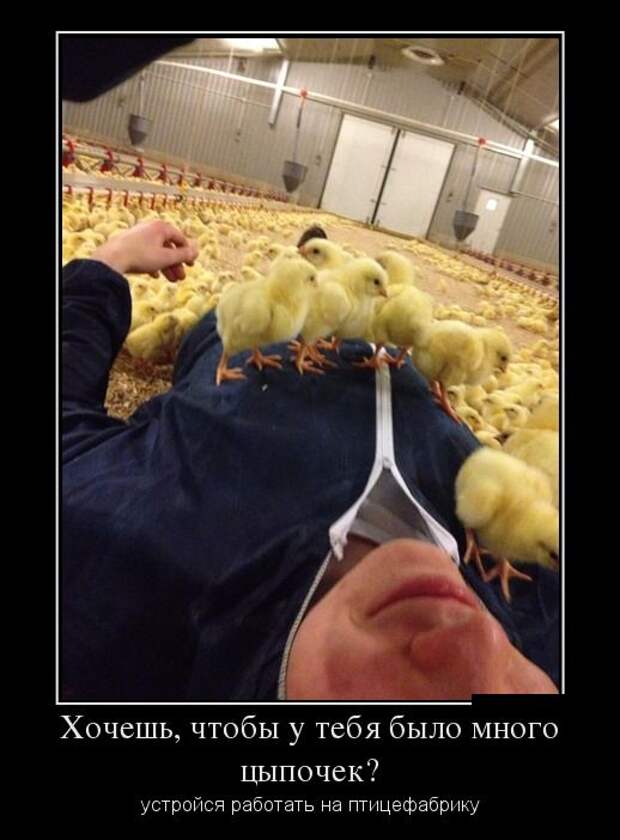 Демотиваторы свежие и позитивные для поднятия настроения (11 фото)