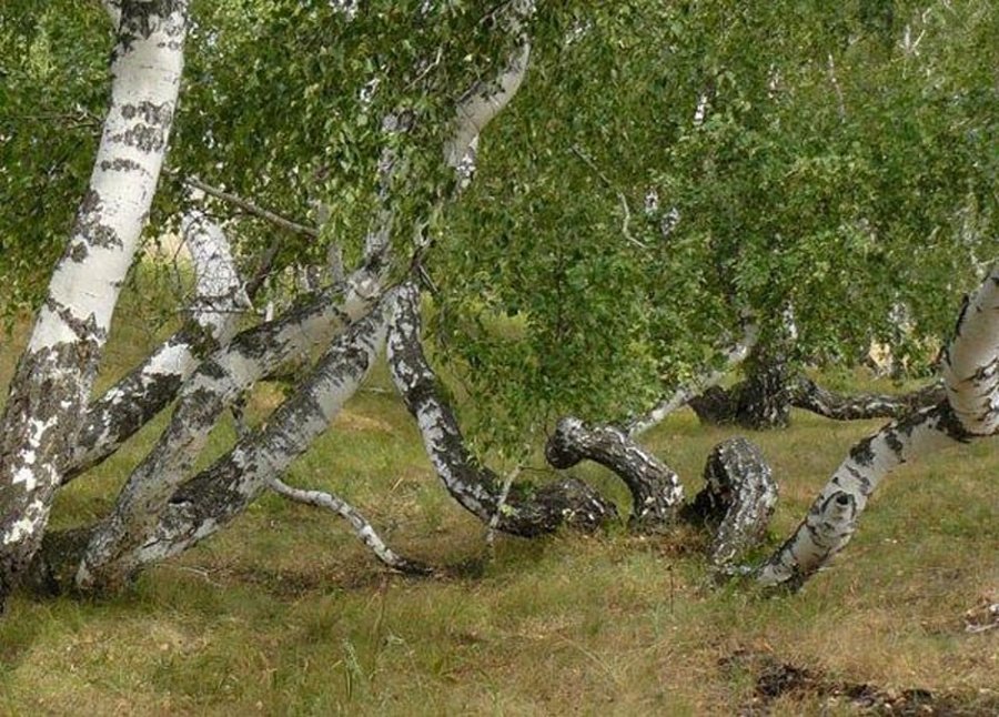 жуткие места