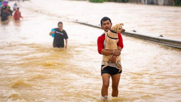Более 600 человек погибли из-за вызванных штормом наводнений и оползней в Юго-Восточной Азии