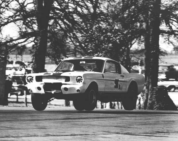 Первое же появление гоночных GT350 на трассе окончилось триумфом ford, mustang, shelby