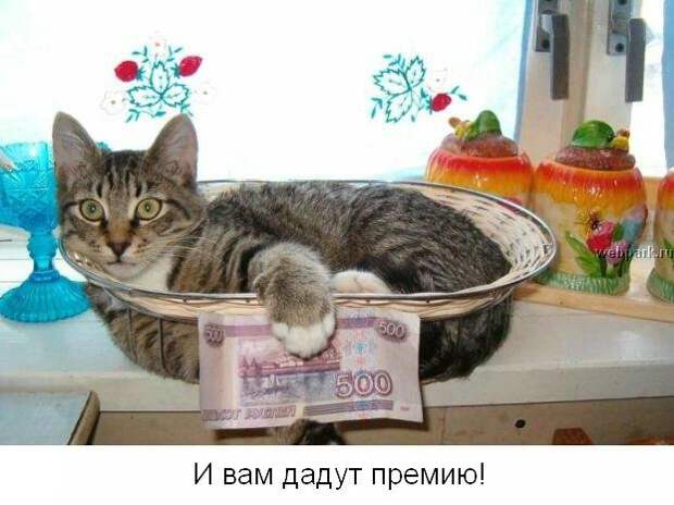 Не унывай! :) (22фото)