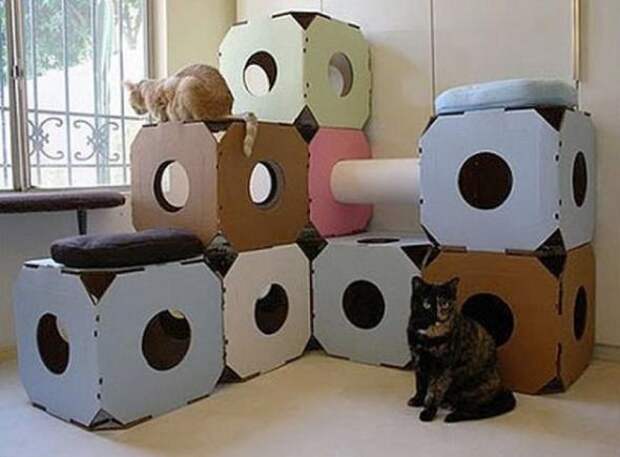 Котодизайн