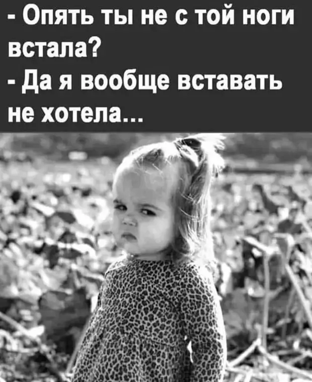 — Изя, твоя рожа напоминает мне Париж. — И таки шо? — Так и хочется съездить! — Изя, твоя рожа напоминает мне Париж. — И таки шо? — Так и хочется съездить! можно, наркоза, показывать, когда, охота, какой, спрашивает, ничего, говорить, сегодня, машину, велосипед, говорит, Доктор, очень, стоит, потребуетСын, ловят, Посоветовали, сумашедших