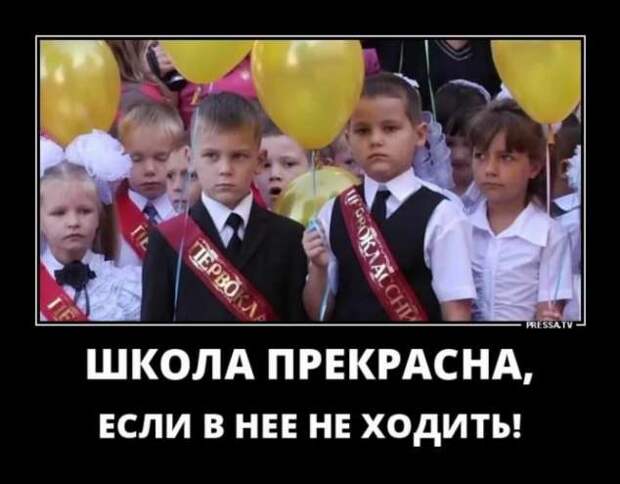 Прикольные демотиваторы с надписями. Подборка chert-poberi-dem-chert-poberi-dem-19010330082020-18 картинка chert-poberi-dem-19010330082020-18
