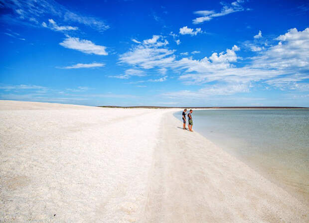 Залив Шарк-Бэй, Западная Австралия.