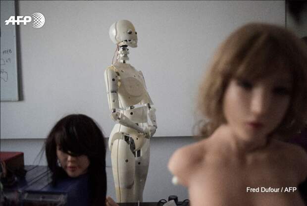 Секс-роботы теперь умеют и посуду мыть ynews, интересное, китайцы, прогресс, роботы, секс-роботы, фото
