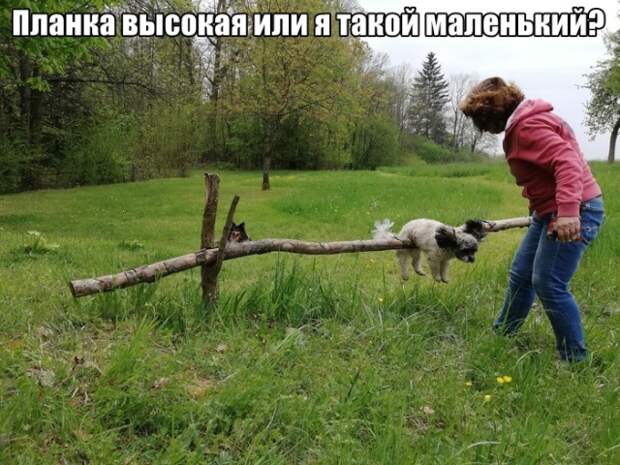 www.vsyako.net