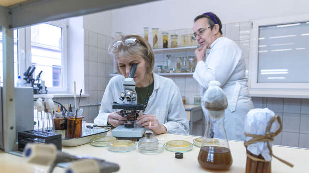 Топ-10 медицинских открытий 2025 года