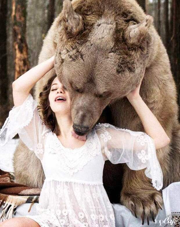 красивые фото медведей