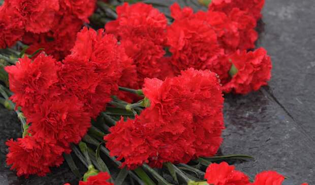 В Волгоградской области похоронят погибшего на СВО 21-летнего Алексея Рогулькина