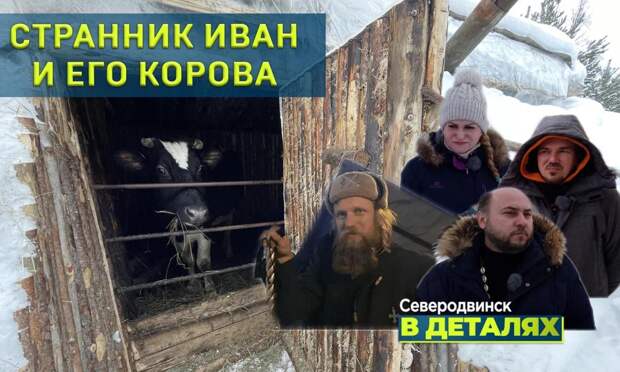 Северодвинск в деталях: «Странник Иван и его корова»