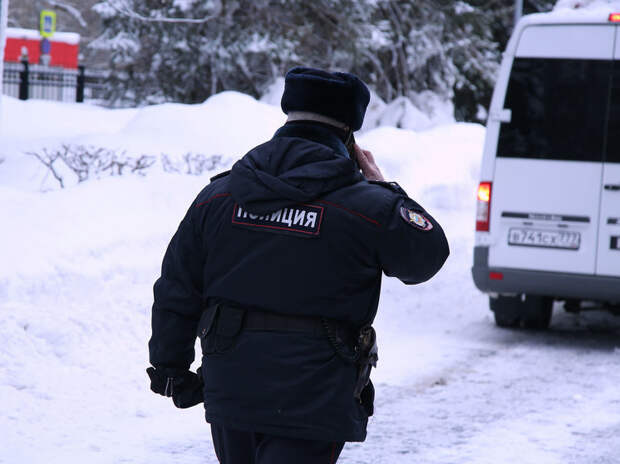 Живодер пытался выдать смерть чихуахуа за естественную