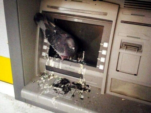 От души. От души.