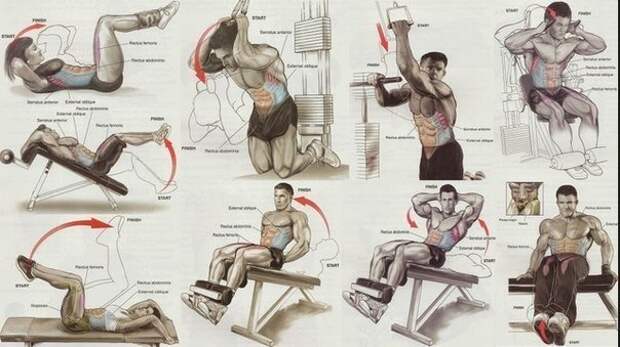 Упражнения на все группы мышц.