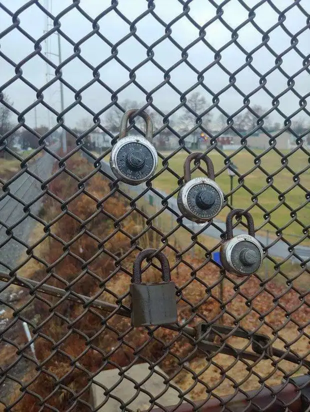 25 интересных и познавательных снимков со всего мира, которые наверняка вы увидите впервые 