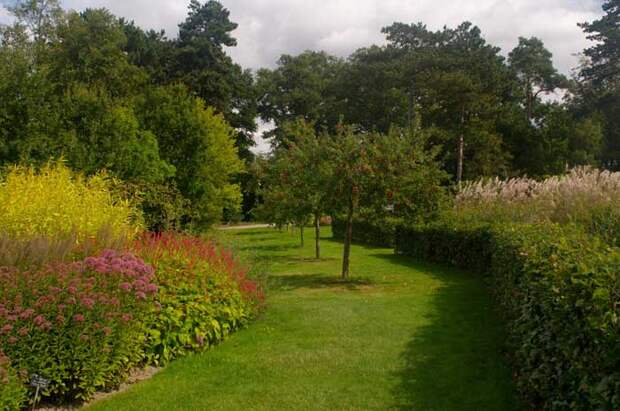 Сад в Уизли - один из садов с наибольшей колекцией растений