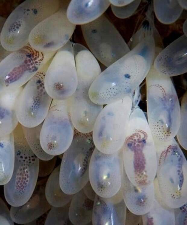 20 фотографий, способных расширить ваш кругозор в одно мгновение