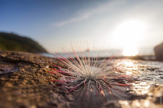 Нестандартный Таиланд: Ко Тао KoTao18 Нестандартный Таиланд: Ко Тао