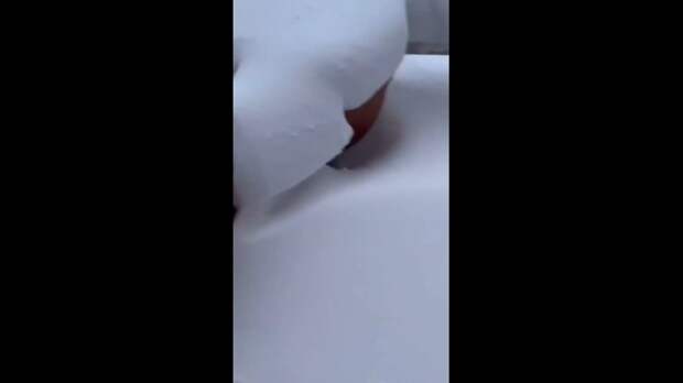 В понедельник Нью-Йорк практически парализовал сильный циклон, в результате которого по всему району выпали значительные объемы снега, и ожидалось, чт...