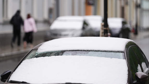 Когда ждать снег в Москве и Петербурге: прогноз погоды на ноябрь 2025 года