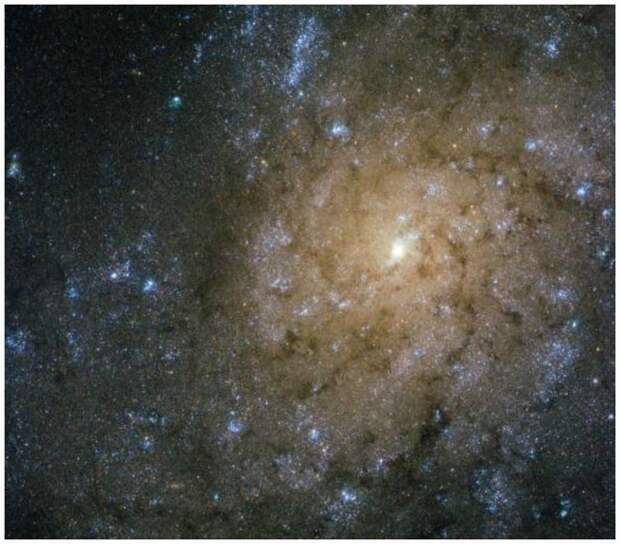 NGC 7793, спиральная галактика в созвездии Скульптор, которое находится примерно 13 миллионов световых лет от Земли. интересное, космос, красота, наука, фото