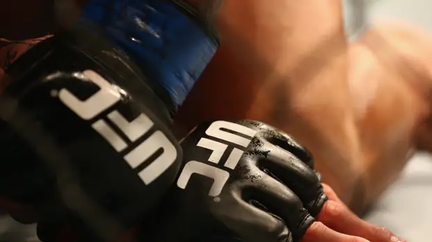 СМИ: UFC начнёт проводить поединки на «бойцовском острове» в июне