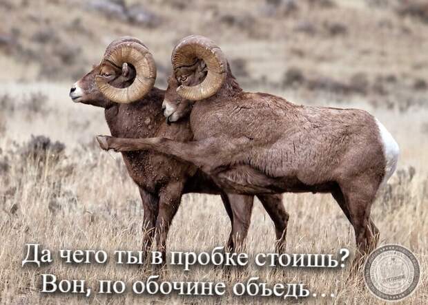 По обочине