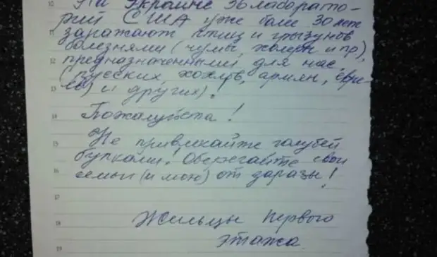 Жителей Белгорода призвали не кормить голубей на фоне новостей о биолабораториях