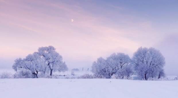 Сказочная красота Белоруссии зимой в фотографиях Алексея Угальникова зима, прекрасное, природа, фотографии