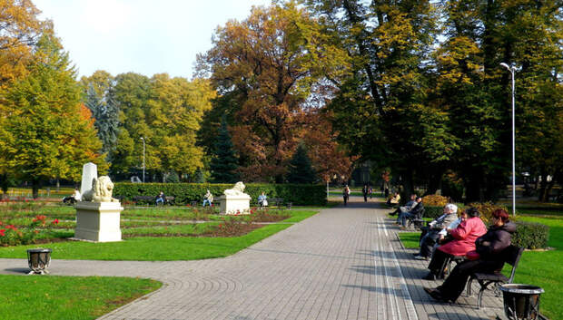 3917_10224941893_15b46e0cf0_o (700x399, 441Kb)