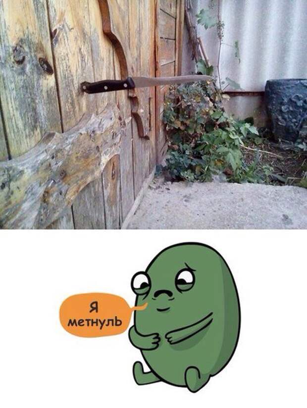 Новые фотомемы на Бугаге (24 шт)