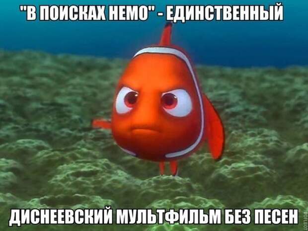 4091279_db2fc7f9