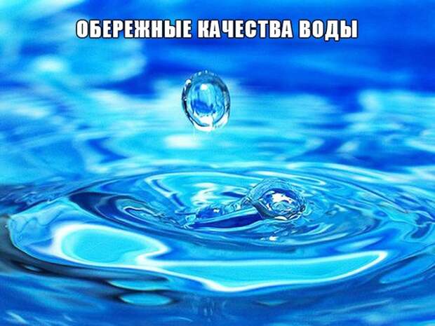 3668121_dBsvxLl6b1c (604x453, 67Kb)