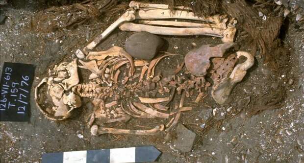 https://www.sciencenews.org/article/peru-skeleton-oldest-known-shark-attack-victim