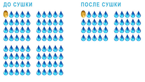 Парадокс картофеля