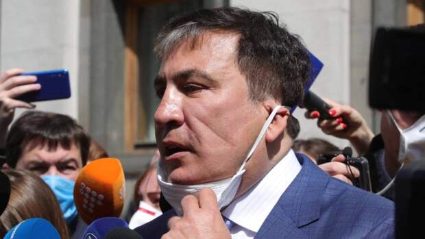 Возвращение Саакашвили в Грузию и его высказывания могут нанести вред Тбилиси