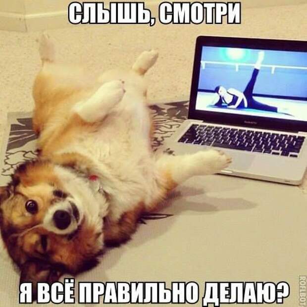 Картинки со смешными подписями
