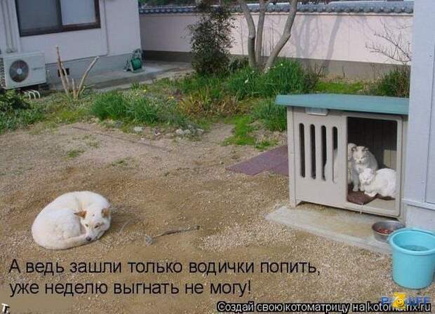 Форум-ФРТК-МФТИ : Развлечения : Смешные жывотные (50 картинок, 3.3 мб)