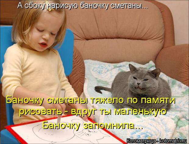Лучшие котоматрицы недели (50 фото)