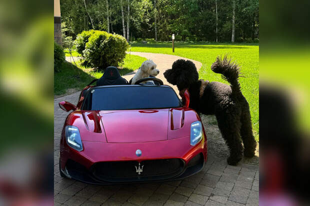 Модель Валентина Иванова засняла собаку в личном спорткаре за 45 тысяч рублей