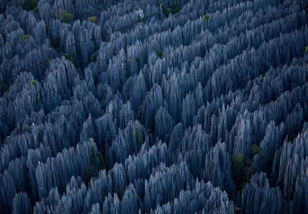 Каменный лес, Китай завораживающе, земля, интересное, красота, пейзажи, природа, фотомир