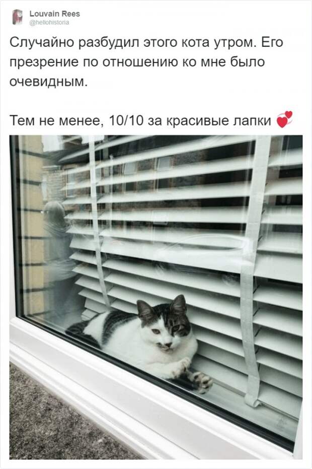 www.vsyako.net