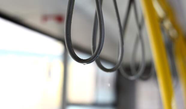 Нижнекамцы обвинили «Сибур» в отмене автобуса