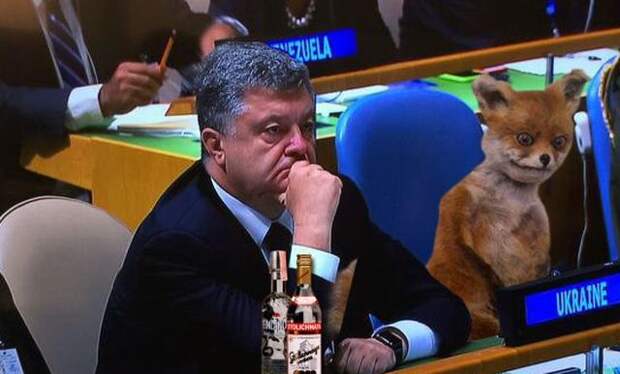 poroshenko-oon